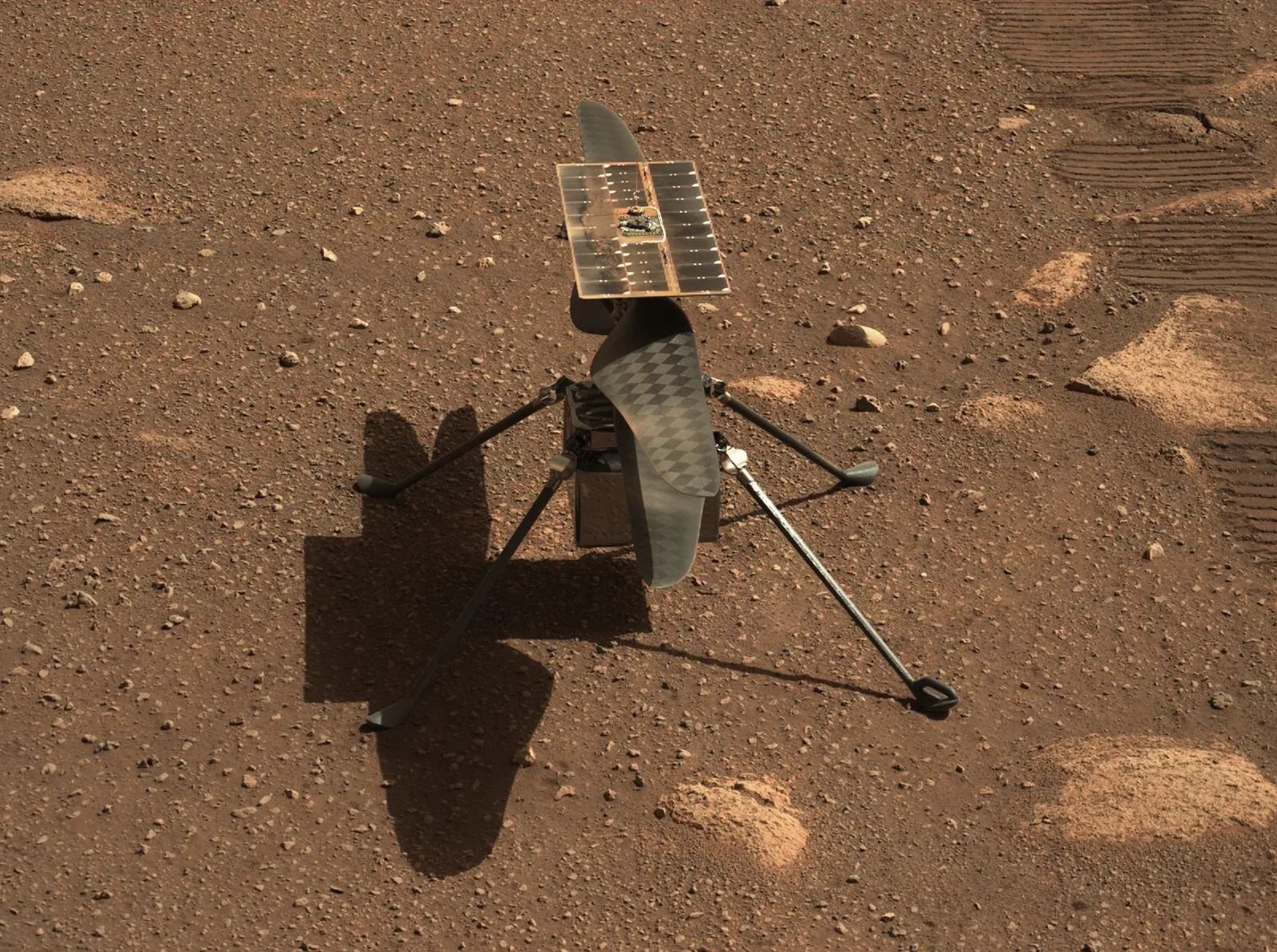 El helicóptero Ingenuity de la NASA sobre la superficie rojiza de Marte, fotografiado por el vehículo Perseverance