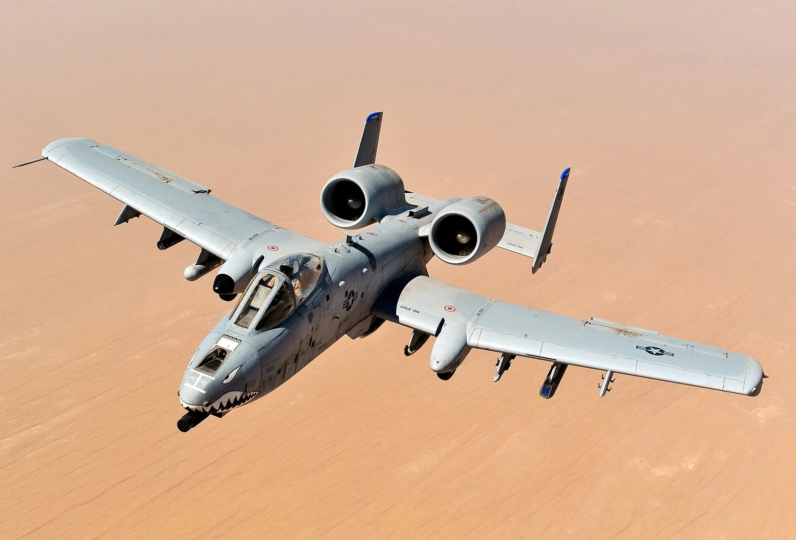 A-10 Thunderbolt II 'Warthog', close air support and forward air control