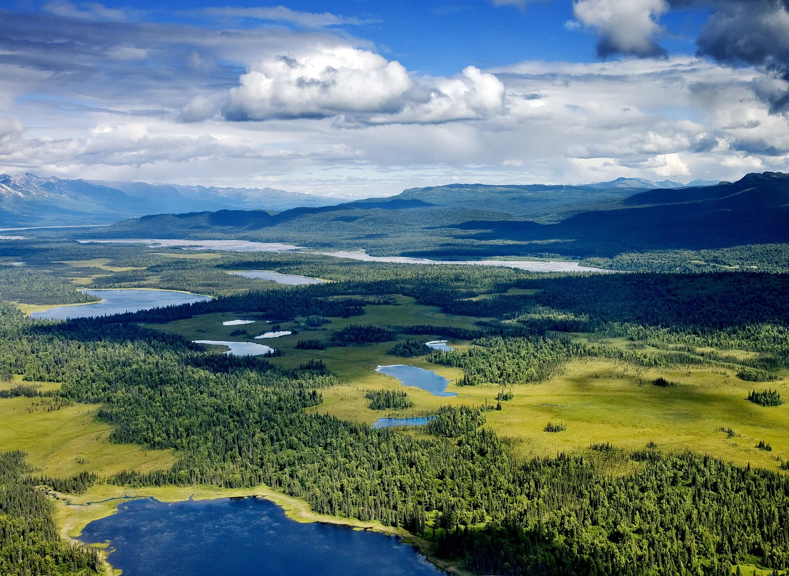 Denali mountain peak rising above tundra and boreal forest in Alaska