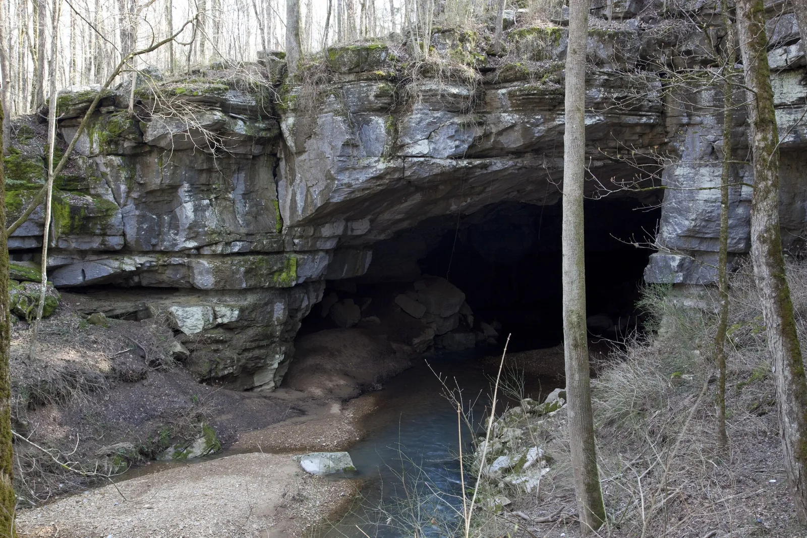 Cave entrance and limestone cliffs at Russell Cave National Monument, Alabama