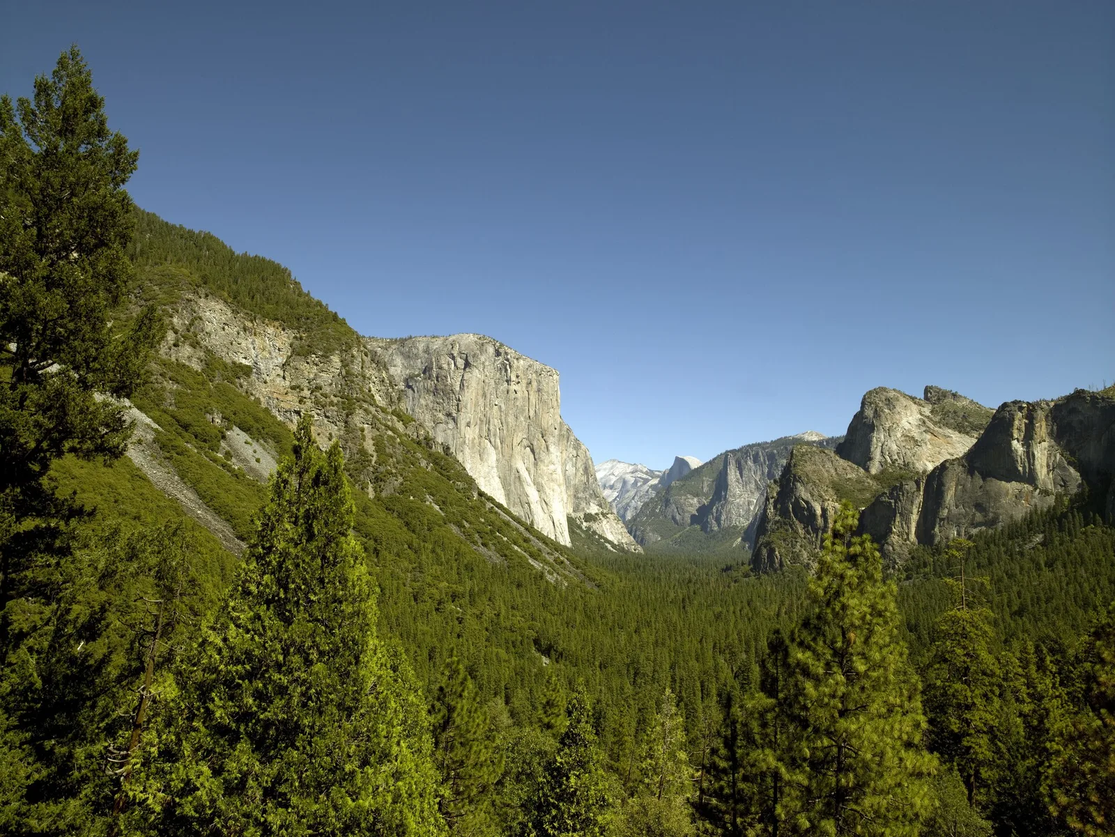 Yosemite Valley with El Capitan and Half Dome rising above the forested valley floor, California