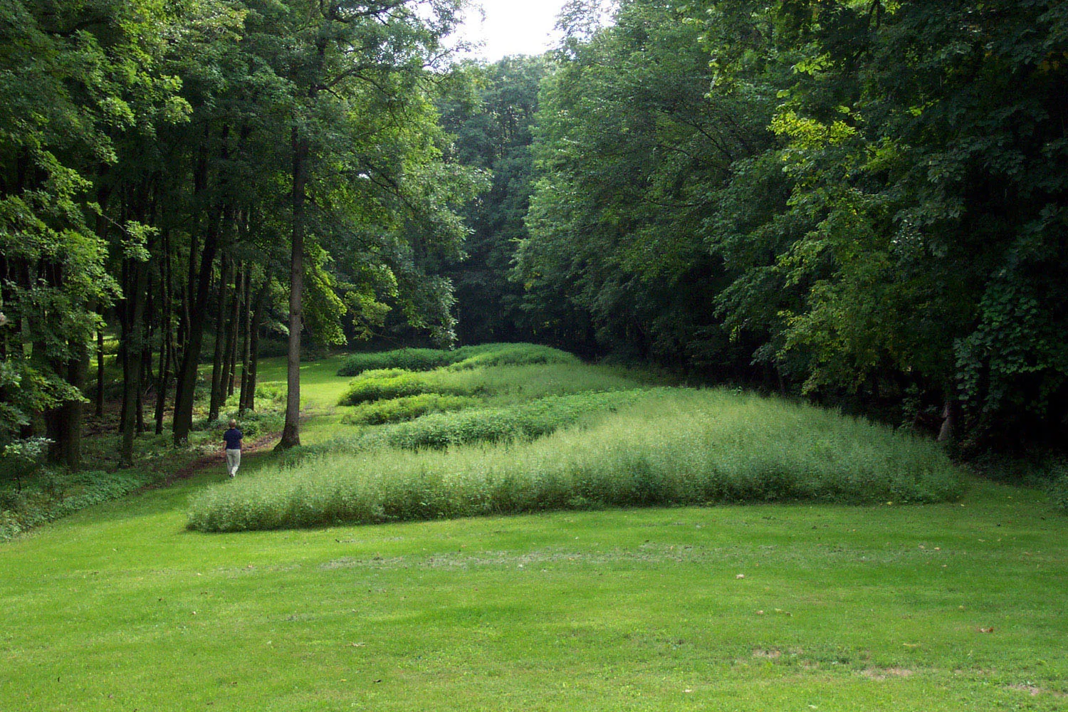Marching Bears mound group at Effigy Mounds National Monument