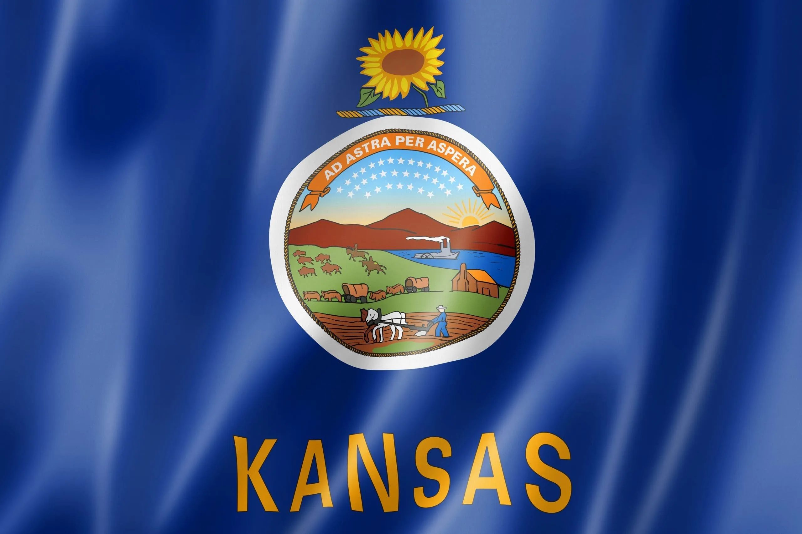 Kansas State Flag