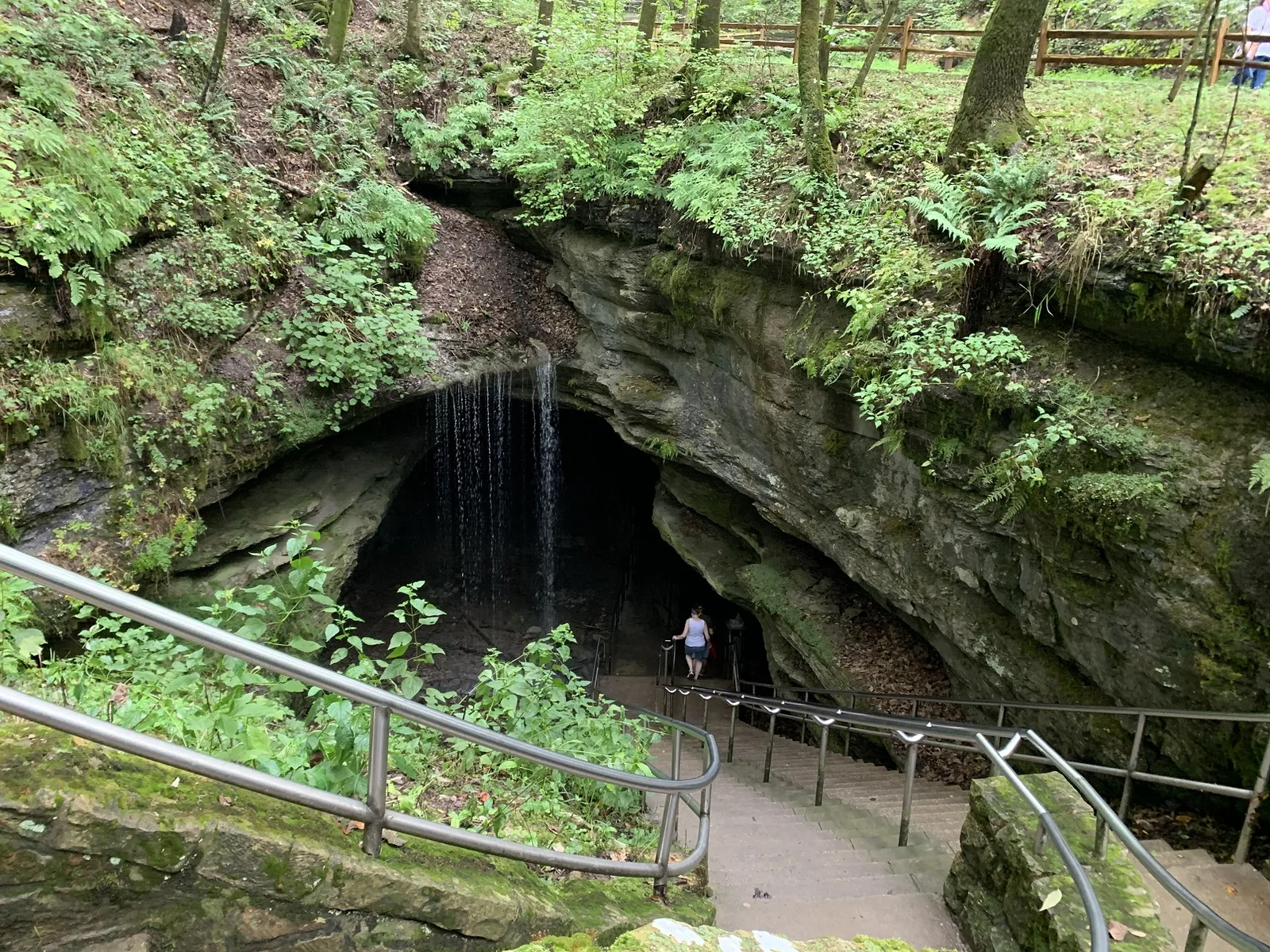 Mammoth Cave entrance, the world's longest known cave system in Kentucky