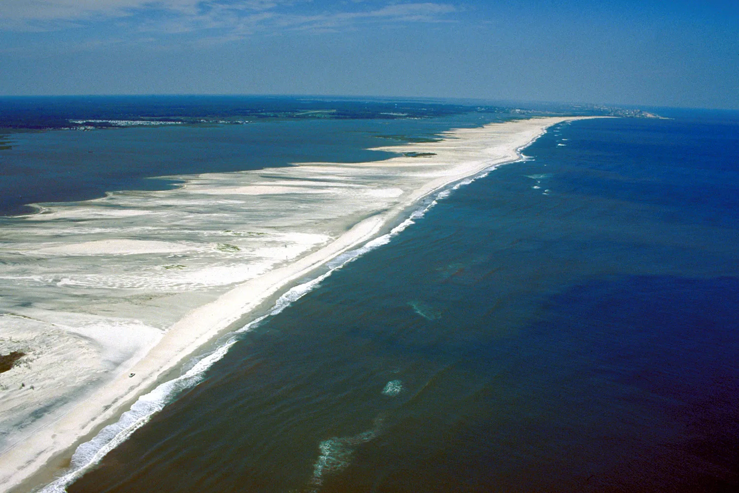 Pristine Atlantic beach and sand dunes at Assateague Island National Seashore