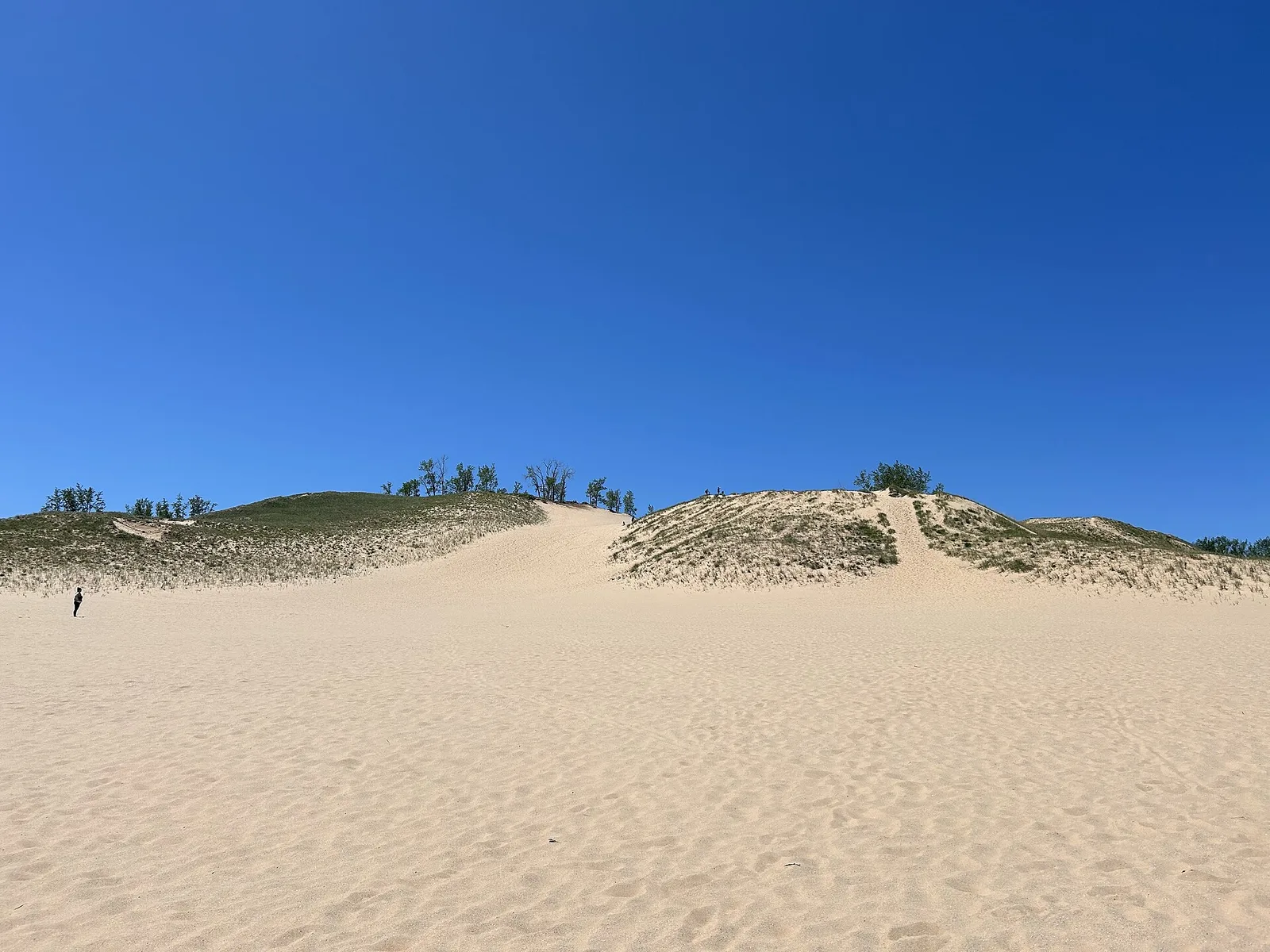 Sleeping Bear Dunes towering above Lake Michigan at Sleeping Bear Dunes National Lakeshore