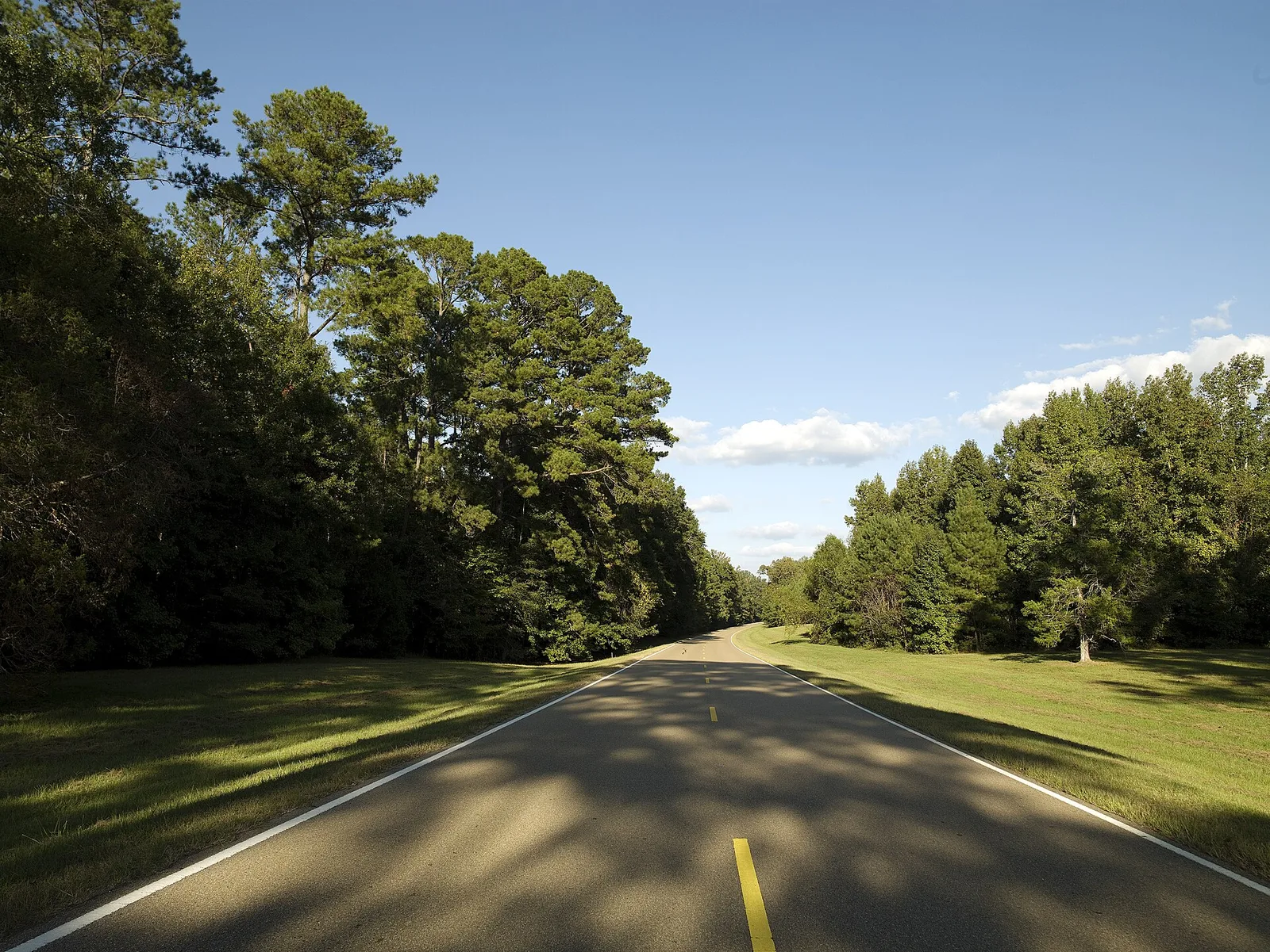 Natchez Trace Parkway winding through ancient forest in Mississippi