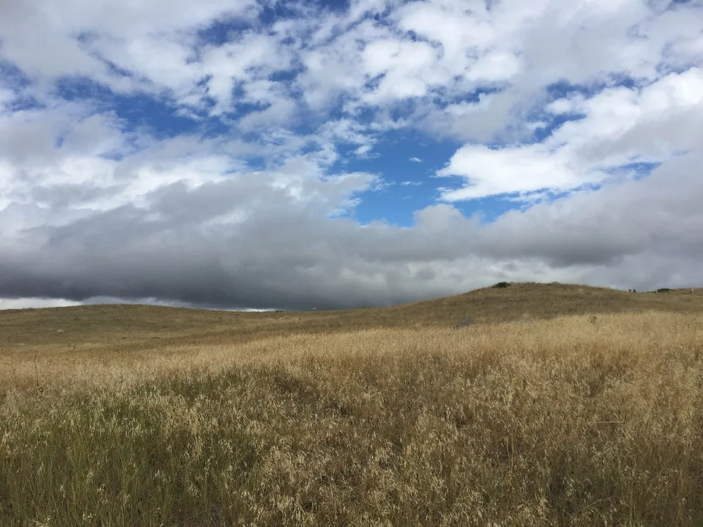 White marble headstones marking the graves of U.S. soldiers at Little Bighorn Battlefield National Monument, Montana