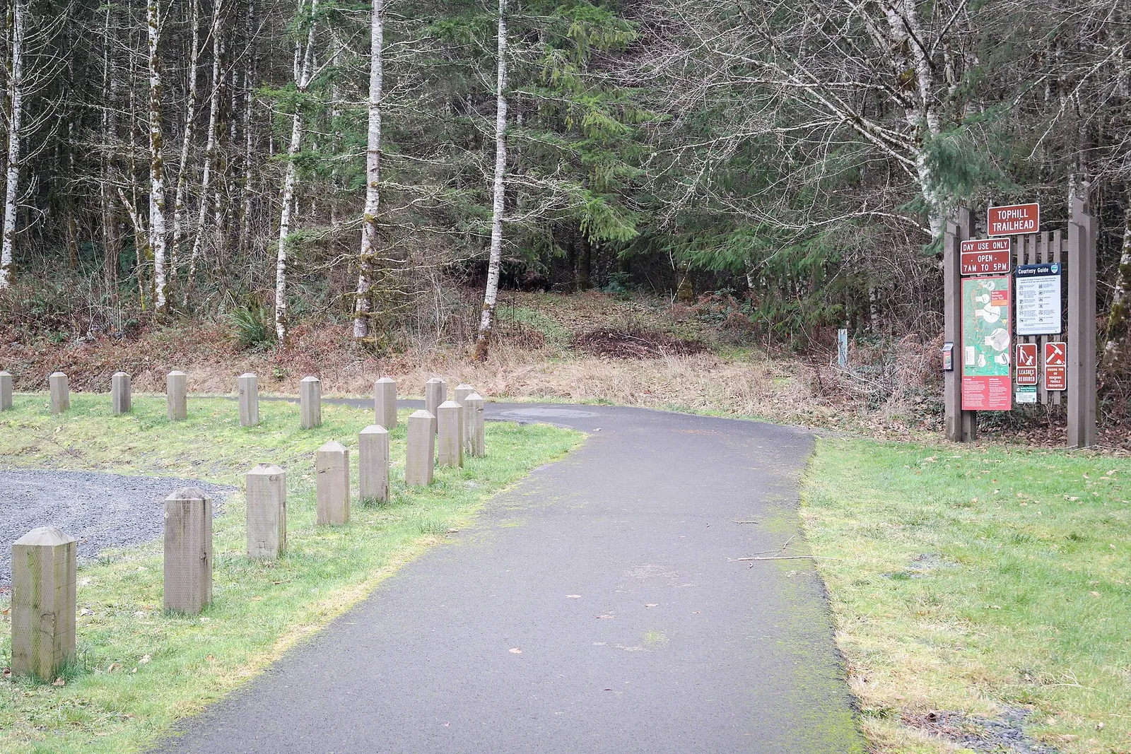 The paved Banks-Vernonia State Trail running arrow-straight along the old railroad grade through tall Coast Range forest