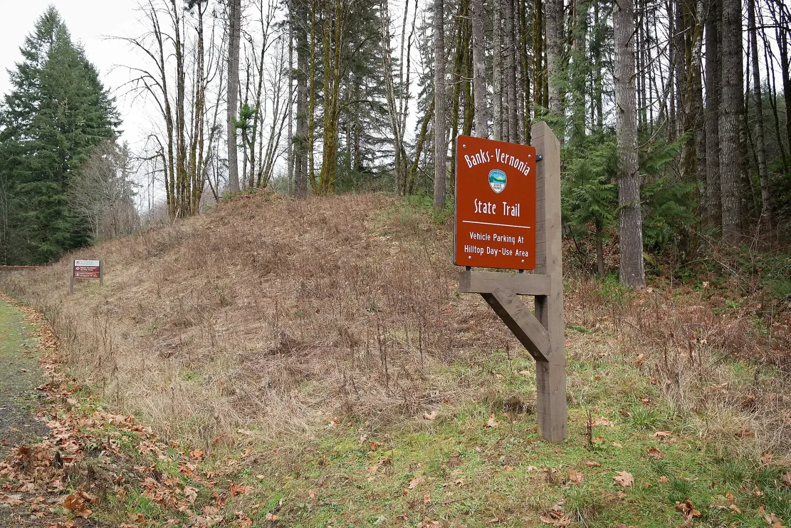 The paved Banks-Vernonia State Trail running through second-growth Douglas fir forest in the Oregon Coast Range foothills