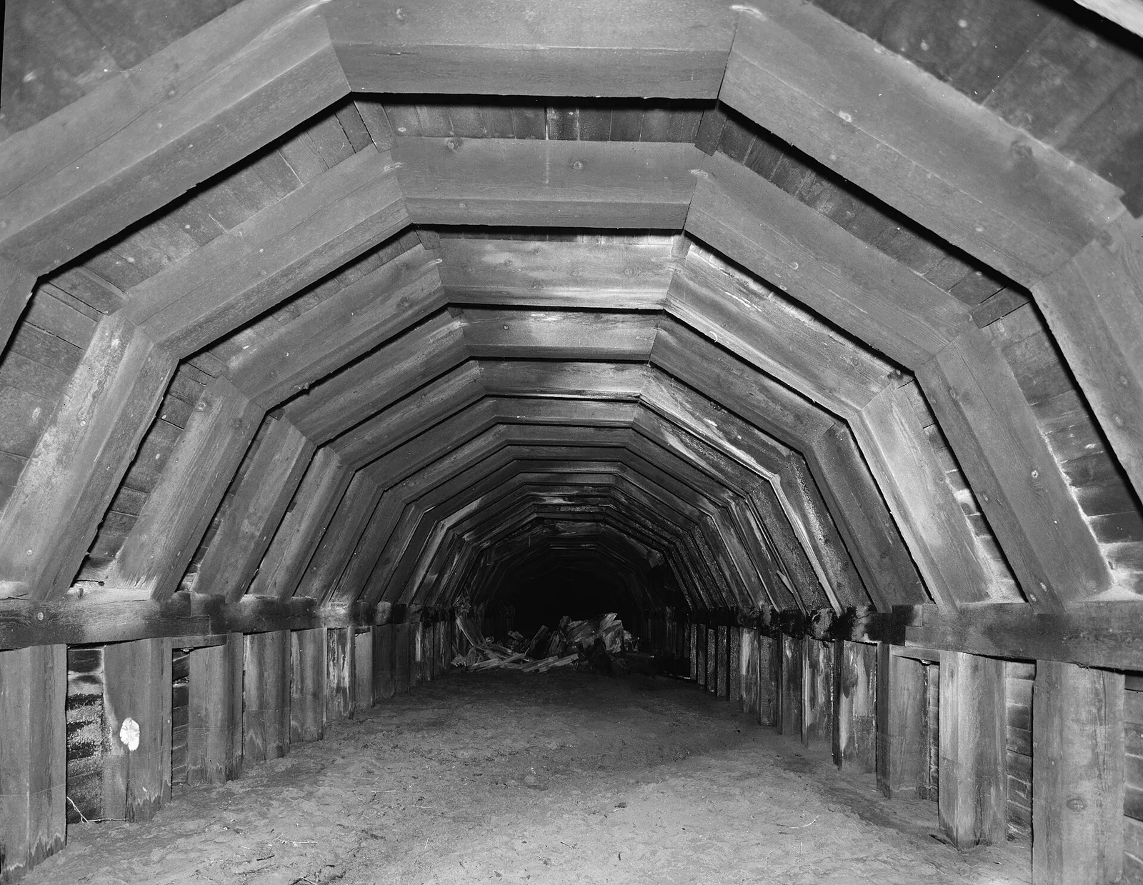 A portal of the abandoned 1,712-foot Nehalem Divide railroad tunnel, bored through the ridge in 1920 for the Portland & Southwestern logging railroad and bypassed when the line became a logging-truck haul road