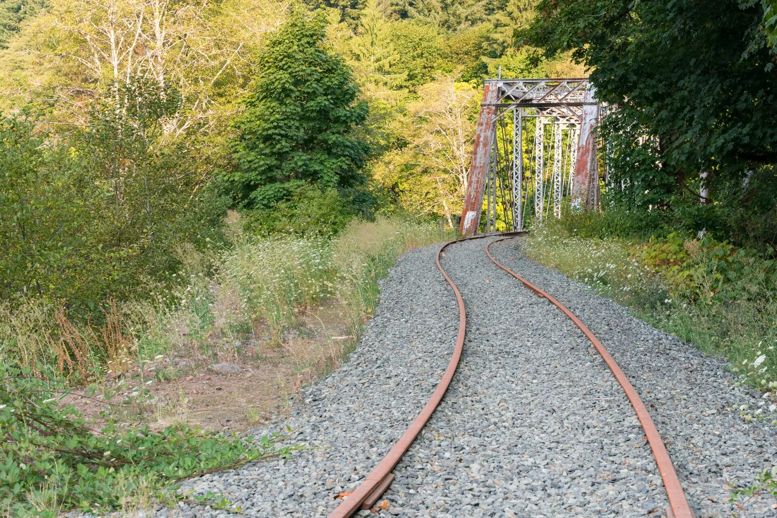 The Salmonberry River and the storm-damaged Port of Tillamook Bay rail line in the northern Oregon Coast Range in the winter after the 2007 Great Coastal Gale