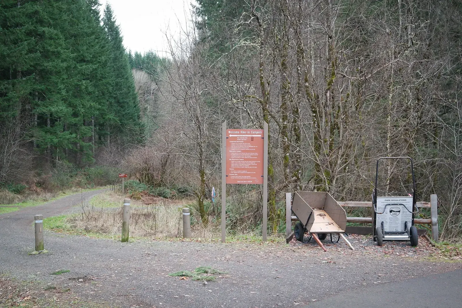 Forested hills and trails at L.L. 'Stub' Stewart State Park, the full-service state park that the Banks-Vernonia State Trail passes through near Buxton