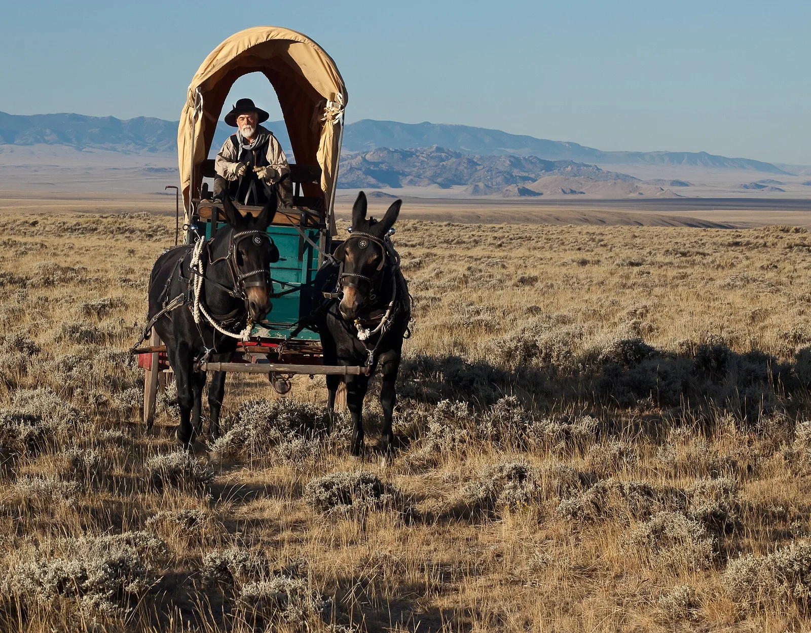 The Oregon Trail wagon ruts preserved in the volcanic soil of eastern Oregon, worn deep into the earth by thousands of pioneer wagons traveling west during the great migration between 1840 and 1870
