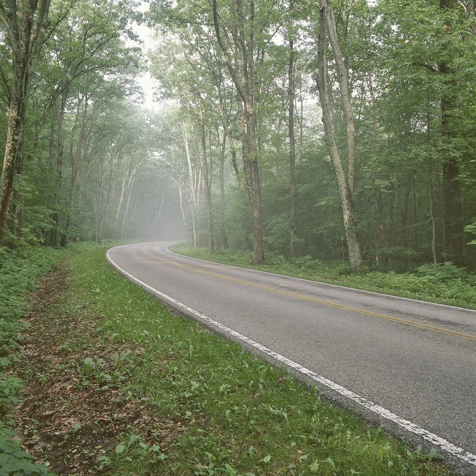 Skyline Drive winding along the crest of the Blue Ridge Mountains in Shenandoah National Park, Virginia, with layered mountain ridges receding into the distance under a hazy blue sky