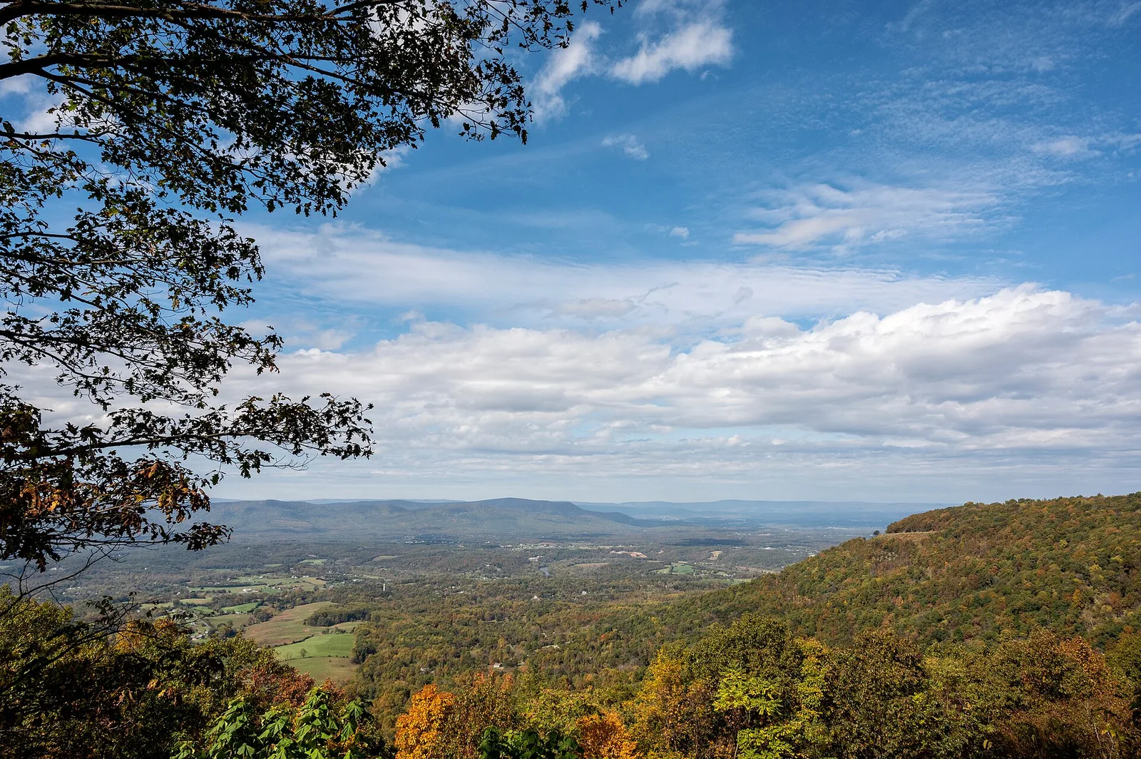 A wide overlook view of the Shenandoah Valley's patchwork farmland stretching toward distant ridgelines, seen from one of Skyline Drive's overlooks in Shenandoah National Park, Virginia