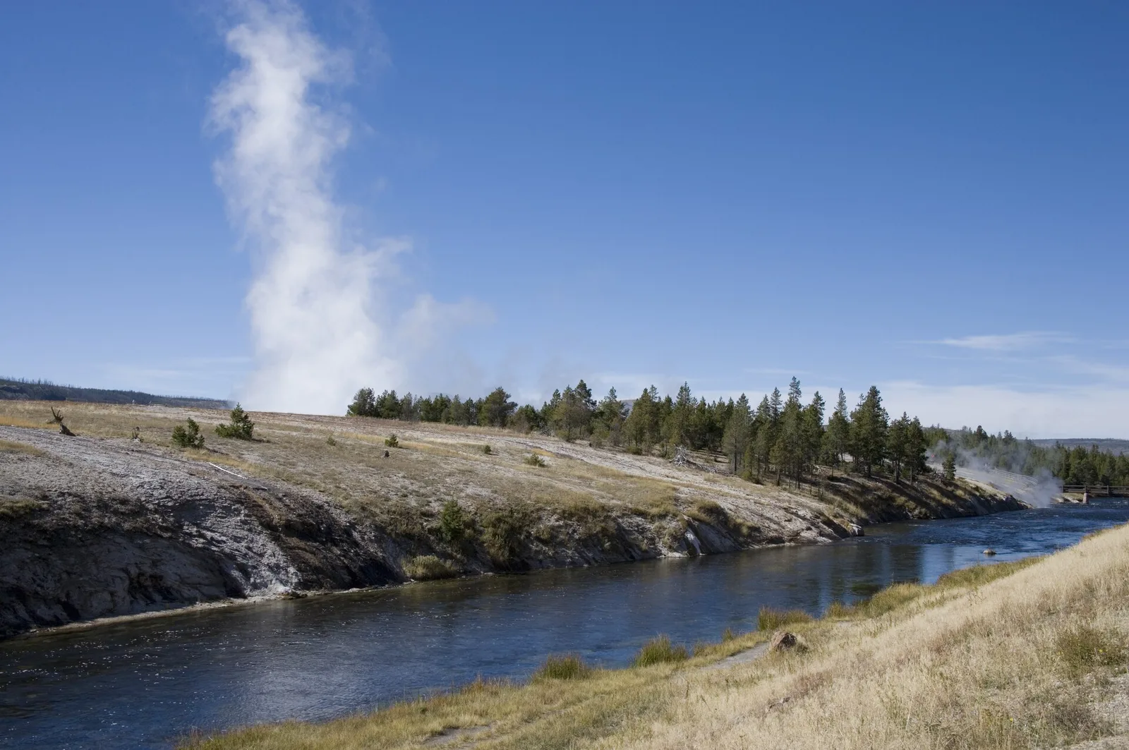 Steam rising from geyser basins with a small herd of bison grazing in the foreground at Yellowstone National Park, Wyoming, beneath a wide open sky