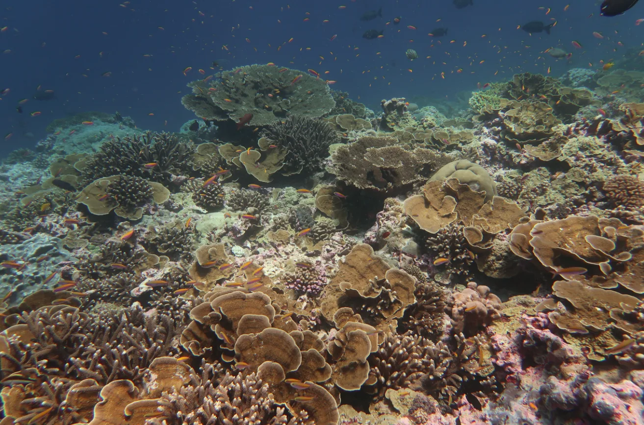 Baker Island reef and waters