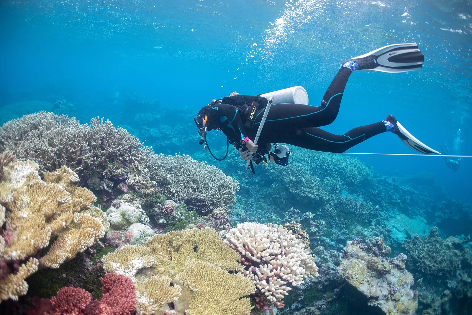 Palmyra Atoll reef and lagoon